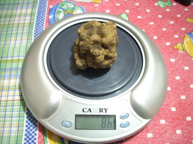 2012_11_26 1
